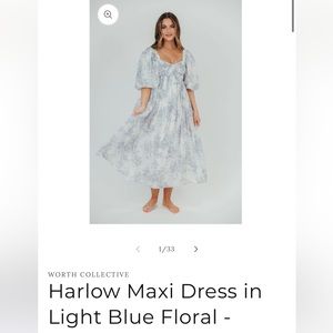 Harlow Worth Collective blue maxi NWT size medium